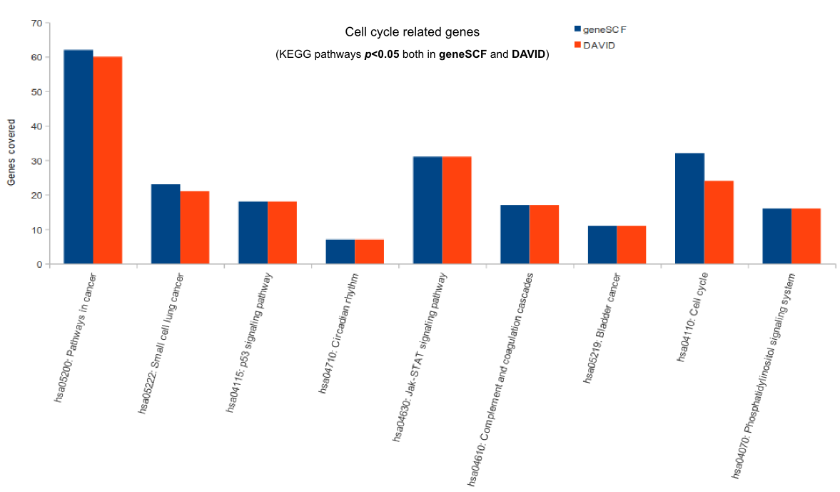 Cell Cycle comparison graph